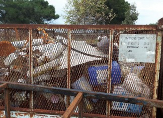 Ispezione nell’azienda: lavoratori irregolari e discarica a cielo aperto. Nei guai 57enne