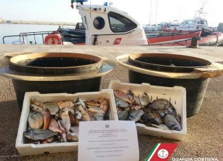 Venti tonnellate di prodotti sequestrati in Puglia dalla guardia costiera nel 2025