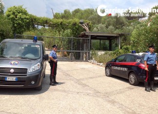 Morì dopo la festa in discoteca: disposte nuove indagini per la morte di Lorenzo Toma