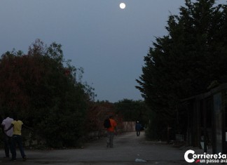 Boncuri, sì di Uil e Uila alla gestione pubblico/privata, ma servono correttivi. Fioretti e Rizzo: “Metodo sbagliato, siamo in grave ritardo, prioritario coinvolgere gli enti bilaterali agricoli”