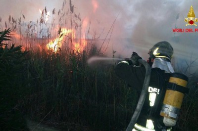 Fiamme agli Alimini, incendio "divora" canneto e minaccia pineta - Corriere Salentino