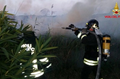 Fiamme agli Alimini, incendio "divora" canneto e minaccia pineta - Corriere Salentino