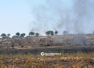 Appiccano il fuoco alle sterpaglie, l’incendio distrugge un campo di grano: denunciati tre minori
