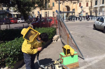 Cantiere di Via Leuca, si rischiava l’interruzione dei lavori per una sciamatura. Api e alveare in salvo - Corriere Salentino