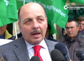 Seminario “Quale futuro per l’Olivicoltura salentina”. Scanavino: “Non possiamo pagare per gli embarghi”