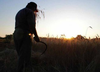Bio, +30% di burocrazia mette a rischio la crescita di un settore leader in Puglia