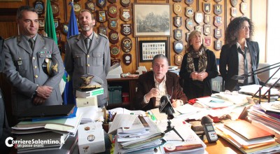 Archiviata inchiesta sulla Xylella: "Nessun nesso tra sperimentazione e inquinamento ambientale" - Corriere Salentino