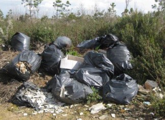 Abbandono di rifiuti, Trevisi: “I beneficiari del reddito di cittadinanza potrebbero svolgere attività di controllo e pulizia”