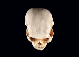“Senza morte”, a Spongano personale di Giovanni Manfredini