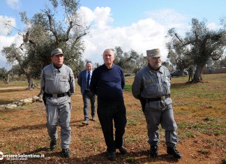Agricoltura, FDI nomina il gen. Silletti responsabile regionale dipartimento
