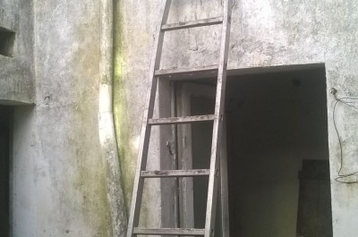 serra di marijuana sul pianerottolo del vicino, nei guai un 41enne 2 Serra di marijuana sul pianerottolo del vicino, nei guai un 41enne - Corriere Salentino