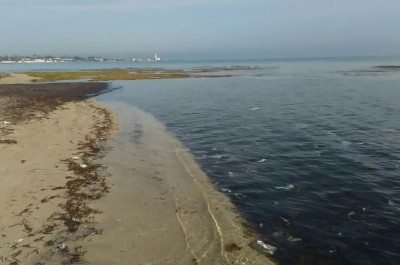 Pulizia dei litorali, lo "Sportello dei Diritti": s'intervenga subito - Corriere Salentino