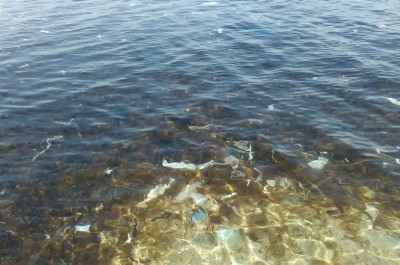 Pulizia dei litorali, lo "Sportello dei Diritti": s'intervenga subito - Corriere Salentino