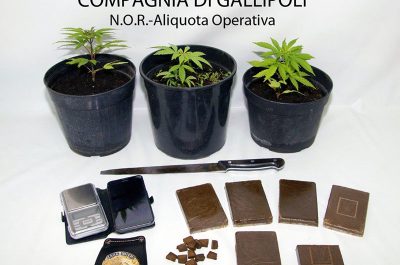 In casa una piccola serra di marijuana ed oltre 600 grammi di "fumo": arrestato - Corriere Salentino