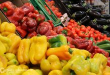 Attualità - Corriere Salentino