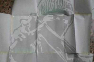 Blitz antagonista per le strade di Sannicola, in casa di 29enne spuntano manifesti e spray - Corriere Salentino