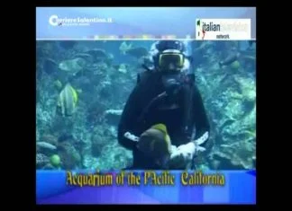 Viaggione: Malesia