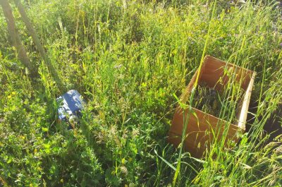 Ciricugno (Spazio Comune): "Piazzale Pertini, esempio del degrado ambientale di molte zone del paese" - Corriere Salentino