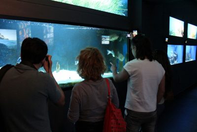 pubblico_dell'acquar