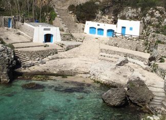 Fiamme dolose nel Parco Regionale, ignoti appiccano il fuoco al “Cala 71”