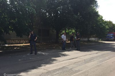 Toro fugge dal macello e semina il panico: la polizia è costretta ad abbatterlo - Corriere Salentino