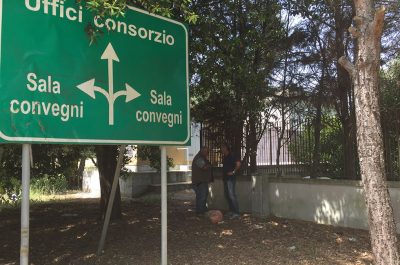 Toro fugge dal macello e semina il panico: la polizia è costretta ad abbatterlo - Corriere Salentino