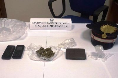 Maxi piantagione nel giardino di casa: 33enne coltivava 640 piante di "erba. Arresti e denunce per spaccio, furto e maltrattamenti - Corriere Salentino