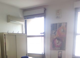 Emergenza pulci nel Palazzo di Giustizia: chiusa la cancelleria di un pm