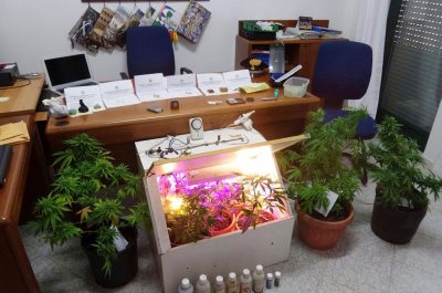 Bazar della droga in casa di un 23enne: coltivava le piante di "erba" in una serra artigianale - Corriere Salentino