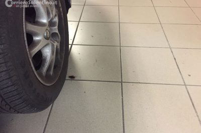 Il pronto soccorso leccese tra blatte e personale stremato - Corriere Salentino