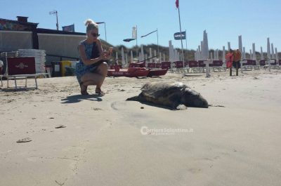 Da giorni abbandonate in riva al mare, anche i turisti scattano "selfie" con le tartarughe morte - Corriere Salentino
