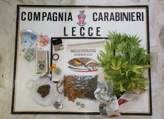 Ai domiciliari, ma spacciava e coltivava marijuana: in carcere 35enne