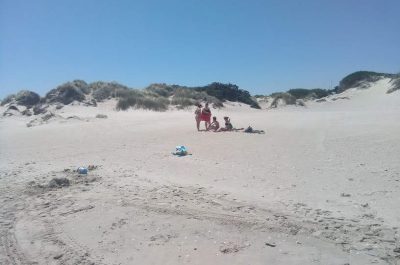 Torre Rinalda, sfregiata un'altra area dunale. D'Agata: "Si tuteli il paesaggio e si monitori il territorio" - Corriere Salentino