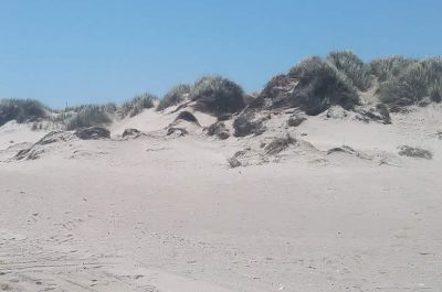 Torre Rinalda, sfregiata un'altra area dunale. D'Agata: "Si tuteli il paesaggio e si monitori il territorio" - Corriere Salentino