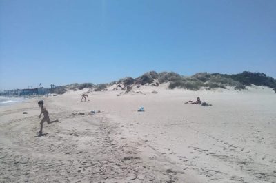 Torre Rinalda, sfregiata un'altra area dunale. D'Agata: "Si tuteli il paesaggio e si monitori il territorio" - Corriere Salentino