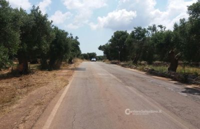 incidente-presicce-1