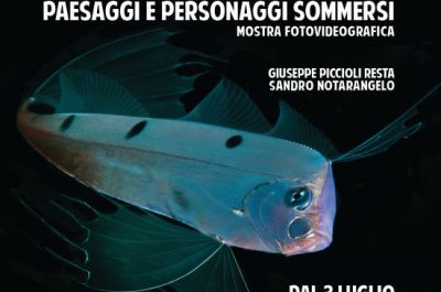 "Sott’acqua nel Salento": a Collepasso si inaugura la mostra sui paesaggi e personaggi sommersi - Corriere Salentino