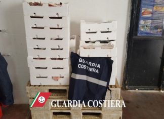 Pesce senza etichetta, sequestrato un quintale di prodotto ittico nel leccese