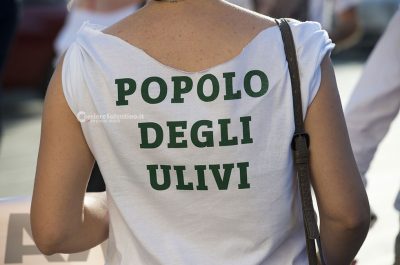 Xylella: corteo in centro, ancora 'no' alle eradicazioni degli ulivi - Corriere Salentino