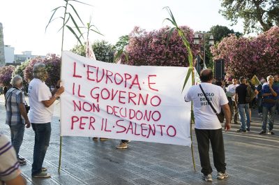Xylella: corteo in centro, ancora 'no' alle eradicazioni degli ulivi - Corriere Salentino