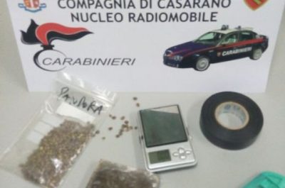 Maxi piantagione nel giardino di casa: 33enne coltivava 640 piante di "erba. Arresti e denunce per spaccio, furto e maltrattamenti - Corriere Salentino