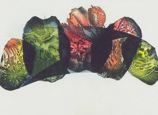 A Zollino in mostra le opere della Biennale Internazionale per l’Incisione di Acqui Terme