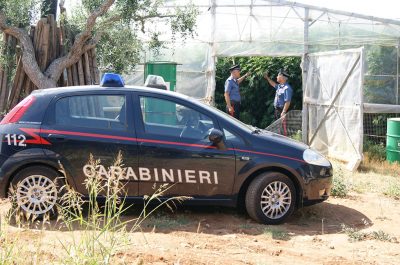 Una serra fai da te di marijuana nella villa: in manette un insospettabile geometra - Corriere Salentino
