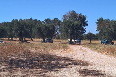 Caporalato, ancora centinaia di lavoratori ammassati in condizioni gravemente precarie: in arrivo la Tenda Rossa - Corriere Salentino