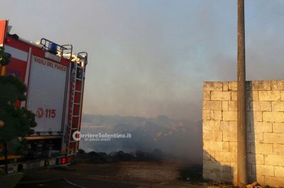 "Inferno" tra Miggiano e Tricase, brucia azienda agricola: danni ingenti - Corriere Salentino
