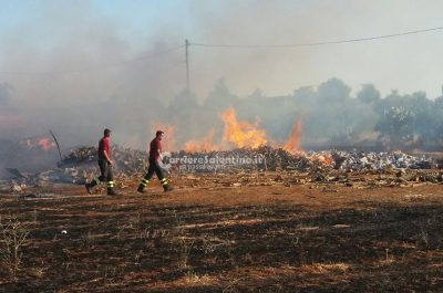 "Inferno" tra Miggiano e Tricase, brucia azienda agricola: danni ingenti - Corriere Salentino