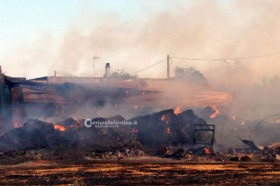 "Inferno" tra Miggiano e Tricase, brucia azienda agricola: danni ingenti - Corriere Salentino