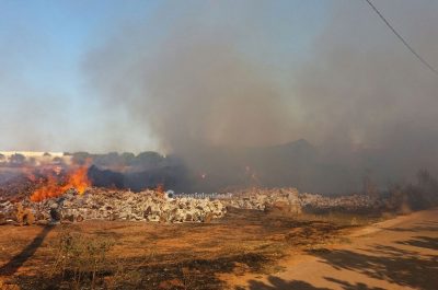 "Inferno" tra Miggiano e Tricase, brucia azienda agricola: danni ingenti - Corriere Salentino