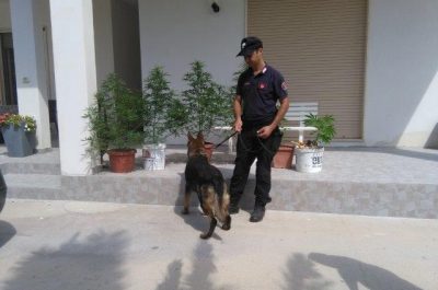 Raffica di multe e denunce per l' "Estate sicura" di Gallipoli - Corriere Salentino