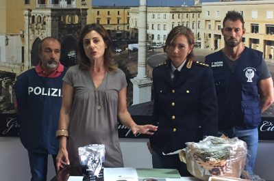 Circa tre chili di marijuana in casa: arrestato un 21enne - Corriere Salentino